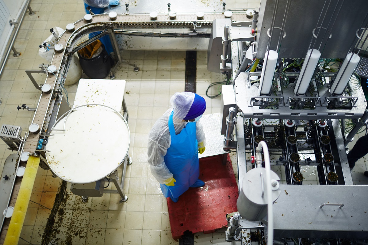 Wdrażanie GMP w branży spożywczej – jakie niesie korzyści?